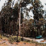 Hotel Refugio Corazones Verdes Dapa Glamping a 45 minutos de Cali y reserva natural bosque
