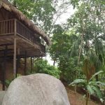 EcoHostal Rio Piedra Opiniones, Dirección, Teléfono, Tarifas y Sitios cerca