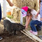 Hotel Granja de Animales San Basilio de Palenque Opiniones, Dirección, Teléfono, Tarifas y Sitios