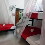 Hostal Coco Bomgo ▷ Opiniones, Dirección, Teléfono, Tarifas y Sitios cerca