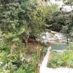 Hostal Coco Bomgo ▷ Opiniones, Dirección, Teléfono, Tarifas y Sitios cerca