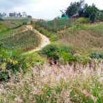 Hotel Ecoposada Viña de Aldana ▷ Opiniones, Dirección, Teléfono, Tarifas y Sitios cerca