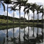 Hotel Osadia Ventura Opiniones, Dirección, Teléfono, Tarifas y Sitios cerca