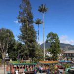 Hotel Tahami Opiniones, Dirección, Teléfono, Tarifas y Sitios cerca