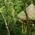 Minca Ecohabs ▷ Opiniones, Dirección, Teléfono, Tarifas y Sitios cerca