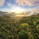 Mundo Nuevo Eco Lodge ▷ Opiniones, Dirección, Teléfono, Tarifas y Sitios cerca