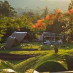 San Julio Campestre Dagua Opiniones, Dirección, Teléfono, Tarifas y Sitios cerca
