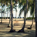 Tayrona Tented Lodge ▷ Opiniones, Dirección, Teléfono, Tarifas y Sitios cerca