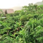 Villa Yira Eco-hotel Opiniones, Dirección, Teléfono, Tarifas y Sitios cerca