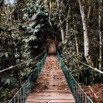EcoLife Calima Opiniones, Dirección, Teléfono, Tarifas y Sitios cerca