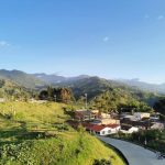 Coffee Tree Boutique Hostel ▷ Opiniones, Dirección, Teléfono, Tarifas y Sitios cerca