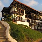 Coffee Tree Boutique Hostel ▷ Opiniones, Dirección, Teléfono, Tarifas y Sitios cerca
