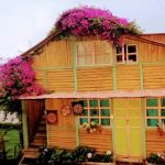 Finca Hotel Nutabes Opiniones, Dirección, Teléfono, Tarifas y Sitios cerca