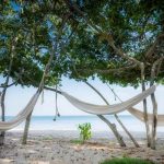 Hotel Playa Manglares Isla Baru Opiniones, Dirección, Teléfono, Tarifas y Sitios cerca
