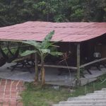 Surf House Estilo Libre Opiniones, Dirección, Teléfono, Tarifas y Sitios cerca