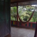 Surf House Estilo Libre Opiniones, Dirección, Teléfono, Tarifas y Sitios cerca