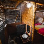 Tiki Hut Hostel Opiniones, Dirección, Teléfono, Tarifas y Sitios cerca