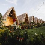 Tiki Hut Hostel Opiniones, Dirección, Teléfono, Tarifas y Sitios cerca