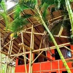 Villa Rosa Opiniones, Dirección, Teléfono, Tarifas y Sitios cerca
