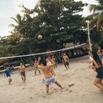 Viajero Hostel Tayrona & Ecohabs ▷ Opiniones, Dirección, Teléfono, Tarifas y Sitios cerca