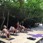 Viajero Hostel Tayrona & Ecohabs ▷ Opiniones, Dirección, Teléfono, Tarifas y Sitios cerca
