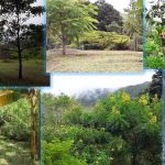 Villa Olbia Restrepo Opiniones, Dirección, Teléfono, Tarifas y Sitios cerca